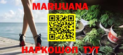 прущие грибы Заводоуковск